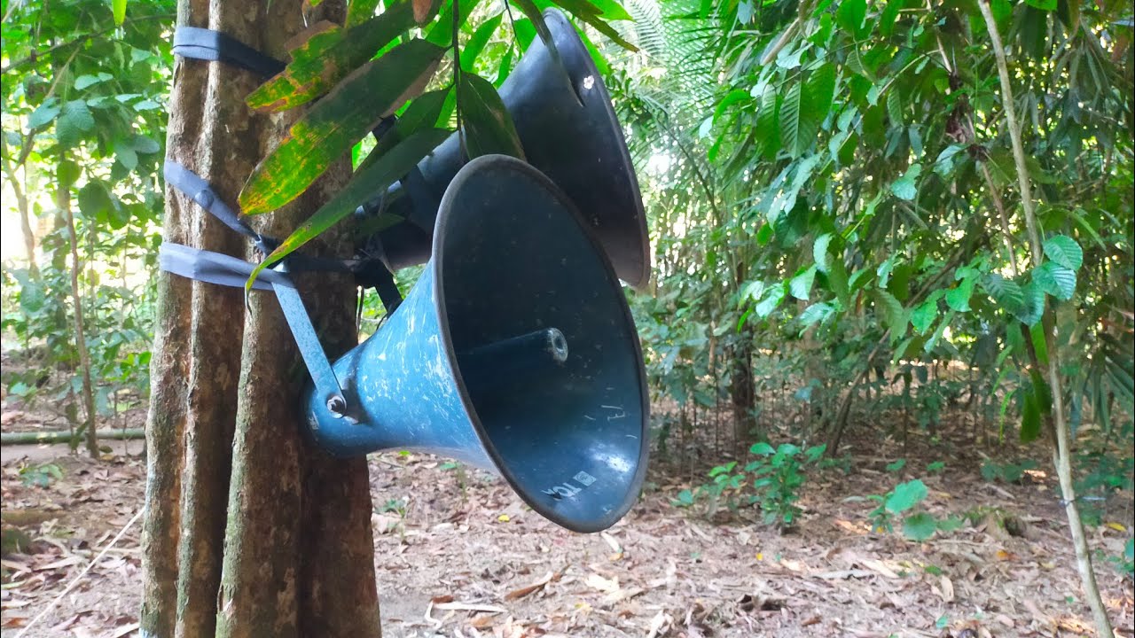 TES SUARA SPEAKER TOA BIRU, TOA LEGEND, TOA JADUL