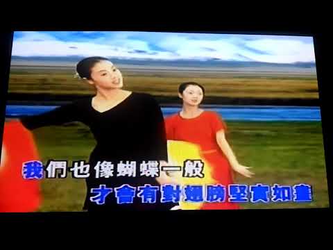陈良泉MV(年轻人的心声)冯昭明演唱