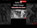 What School Never Told You About Atlantic Slave Trade