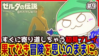 【#ゼルダの伝説ブレスオブザワイルド 】思いのままに冒険するオオサンショウウオ #9【両生類系人外VTuber/半崎ウイネコ】【BotW/ブレワイ】