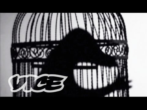 The Lark by Gil Kenan: VICE Shorts