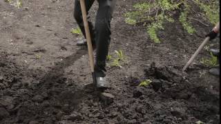 digging shovel earth, soil processes screenshot 5