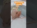 Glass Frosting Process with Sand Blasting ✨🔥 #Shorts #glassart #laserplotter #satisfyingprocess