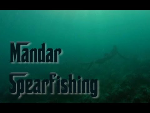 Mandar Spearfishing