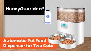 HoneyGuaridan Automatic Cat Feeder
