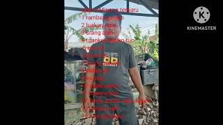 Album Minang By Jhony Koto Volume 7