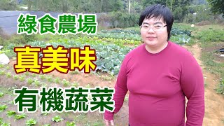 台南白河綠食農場- 吳承樺- 蔬菜達人| 從荒地到有機農場| 24 ... 