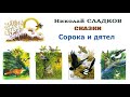 Николай Сладков "Сорока и дятел" - Сказки Сладкова - Слушать