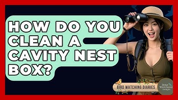 How Do You Clean A Cavity Nest Box? - Bird Watching Diaries