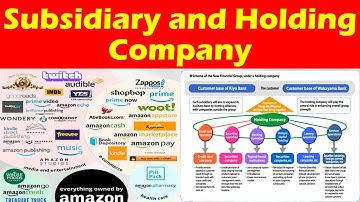 Subsidiary and Holding Company - Definition, Formation and Types of Company Explained with Example.