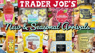 TRADER JOE’S NEW SPRING ARRIVALS + DISCONTINUED ITEMS & GROCERY HAULS