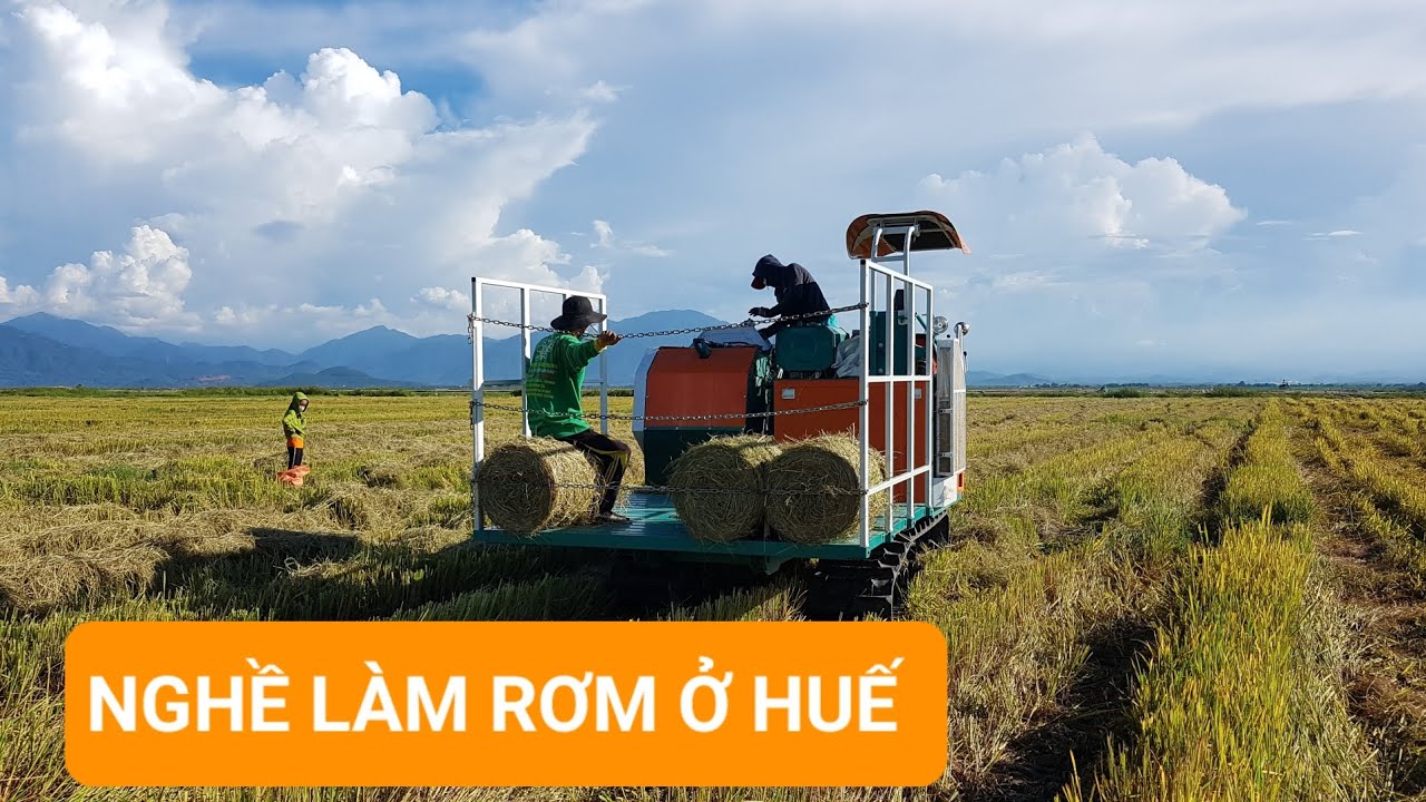Chia sẻ quý khách hàng nghề làm rơm ở Huế - YouTube