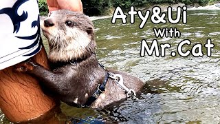 Aty, who is a little bit curious about Ui, and Ui, who is crazy about Aty. [Otter life Day 596]