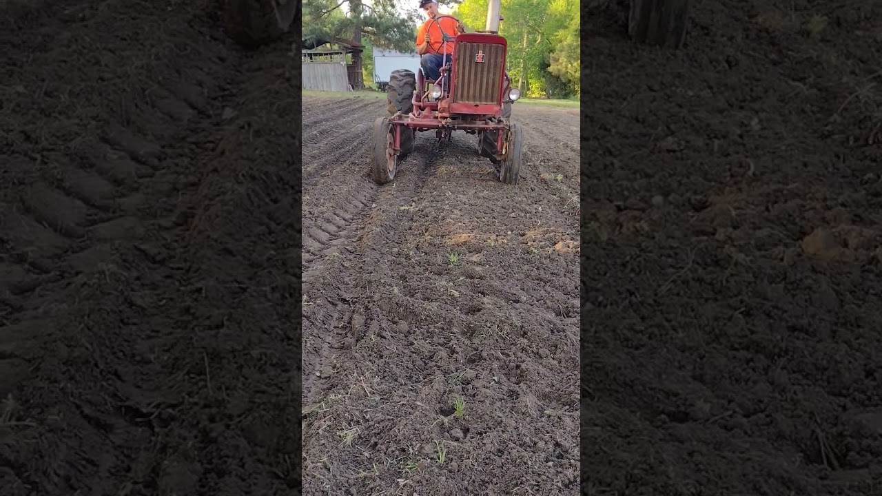 Planting Honey select corn before the rain #farmall140 #farmall #farmall51 #shorts
