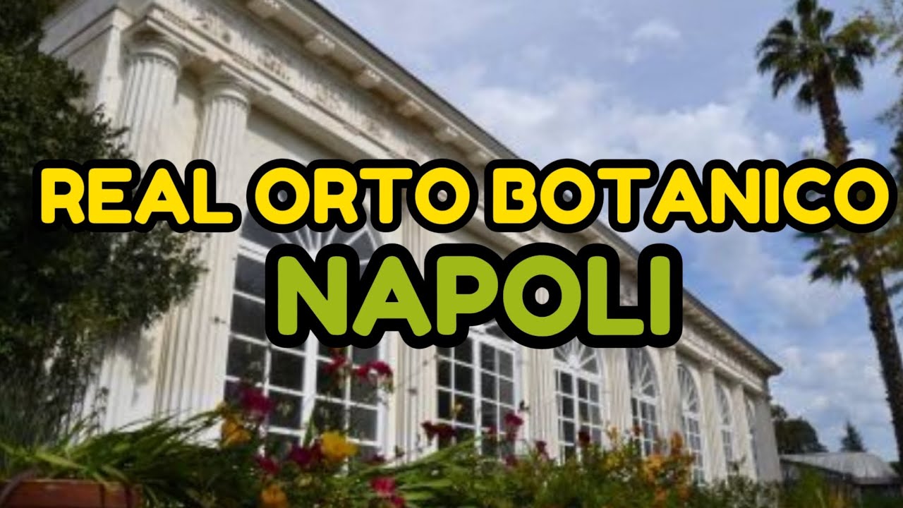 Il Real Orto Botanico di Napoli, oasi di verde nel centro antico della città