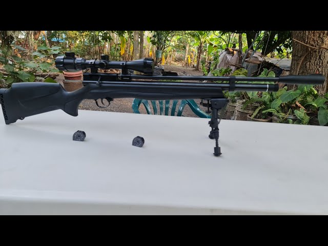 Rifle Aire Pcp 10 Tiros Chieff Ii Plus 5.5 Beeman Mendoza - TIRO DEPORTIVO  MX