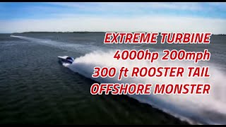 PURE TURBINE INSANITY