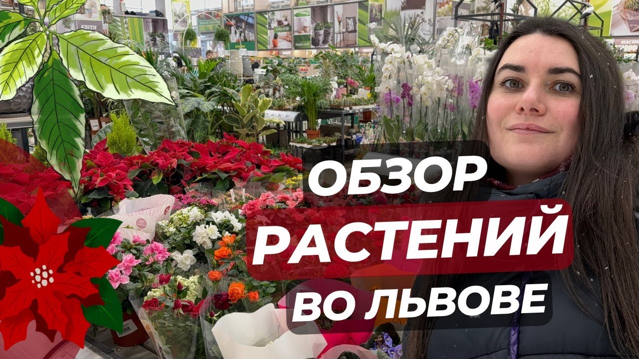 Обзор РАСТЕНИЙ во Львове!