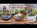 15 Succulent DIY Ideas| 15 ý tưởng trang trí sen đá| 多肉植物| 다육이들 | Suculentas