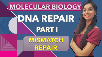 Mismatch Repair|Dna Repair Part I |Molecular Biology| Repair System|CSIRNET|GATE|IITJAM|DBT|ICMR|