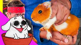 Huntleo reacciona a "¡Probando la comida extrema de Perú! ¡Carne Exótica de Sudamérica!"