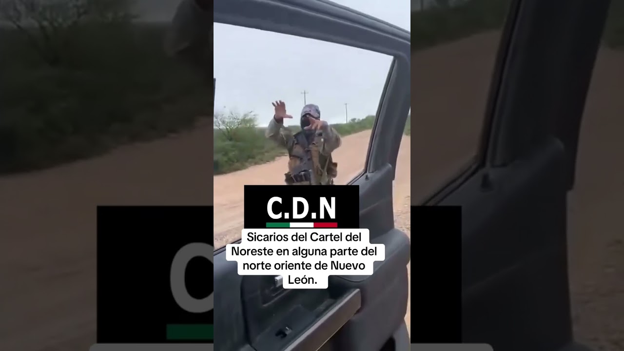 “Sicarios del Cartel del Noreste” #loschapitos#cartelesmexicanos #crimenorganizado #cartel