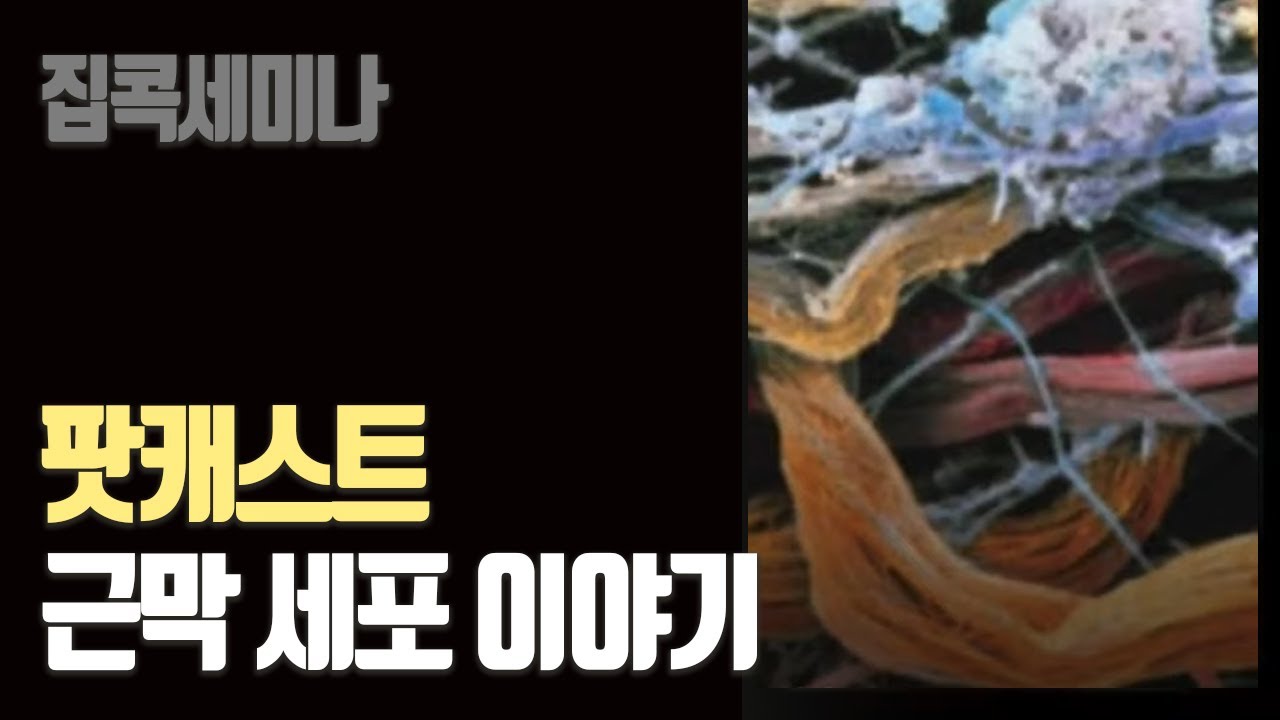 [홍정기 팟캐스트] 근막 세포 이야기