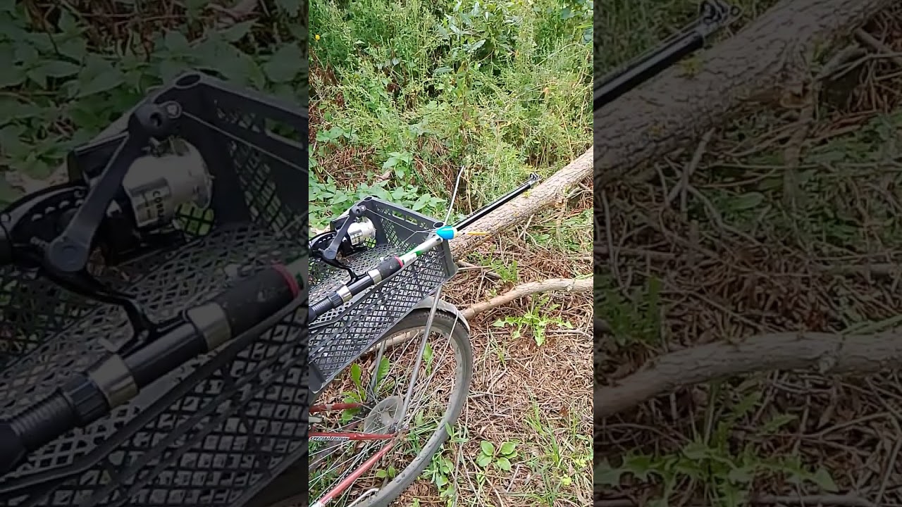 1 марта 2026 г.