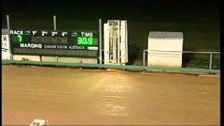Gawler-10082014-Race-7