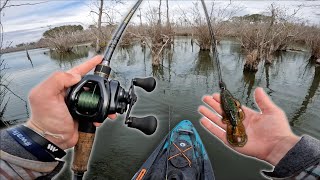 Flipping TREE INFESTED Waters For Winter BASS! (New Lake Ep.1)