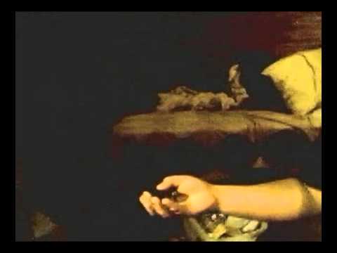 Double Smacker  Zippo Lighter Tricks