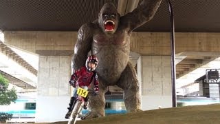 Gorilla Park at Kawaguchi, Japan [iPhone 4S/HD]