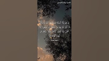 سورة النجم من آية 23 إلى آية 25 بصوت الشيخ ياسر الدوسري♥♥