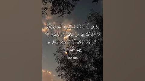 سورة النجم من آية 23 إلى آية 25 بصوت الشيخ ياسر الدوسري♥♥