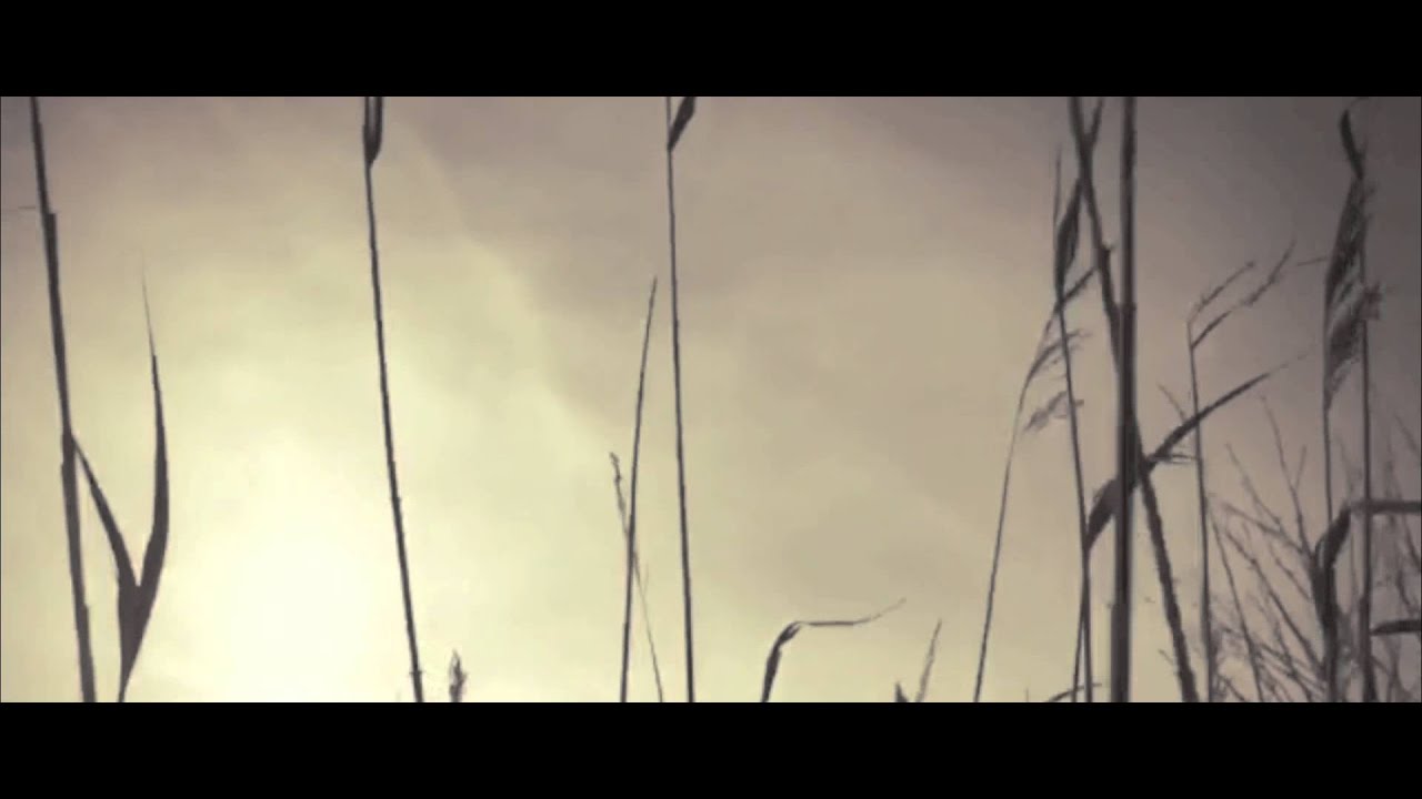 Kirsty McGee // Sequins