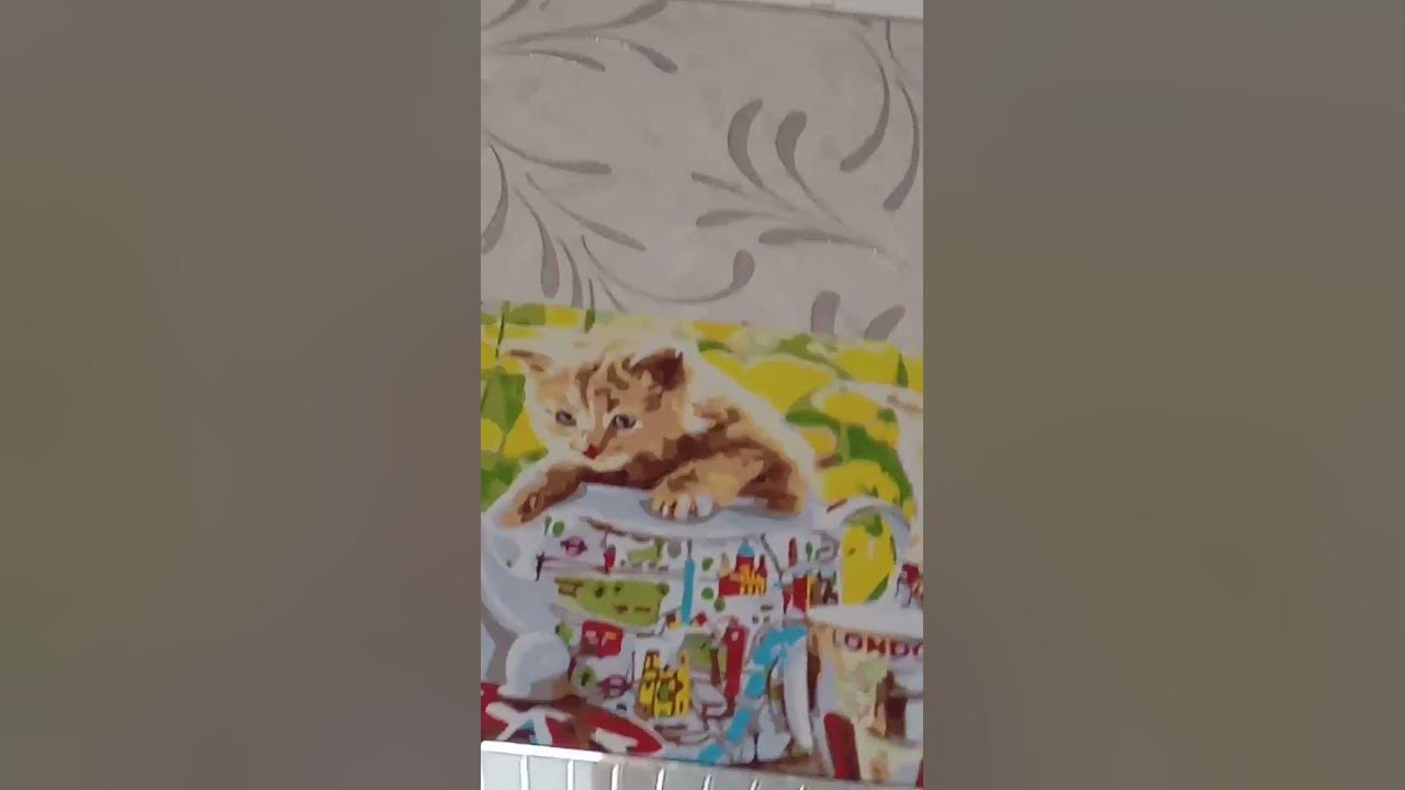 милые котята нарисованные - YouTube