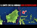 Nessun animale oltrepassa mai questo confine invisibile, ecco perché
