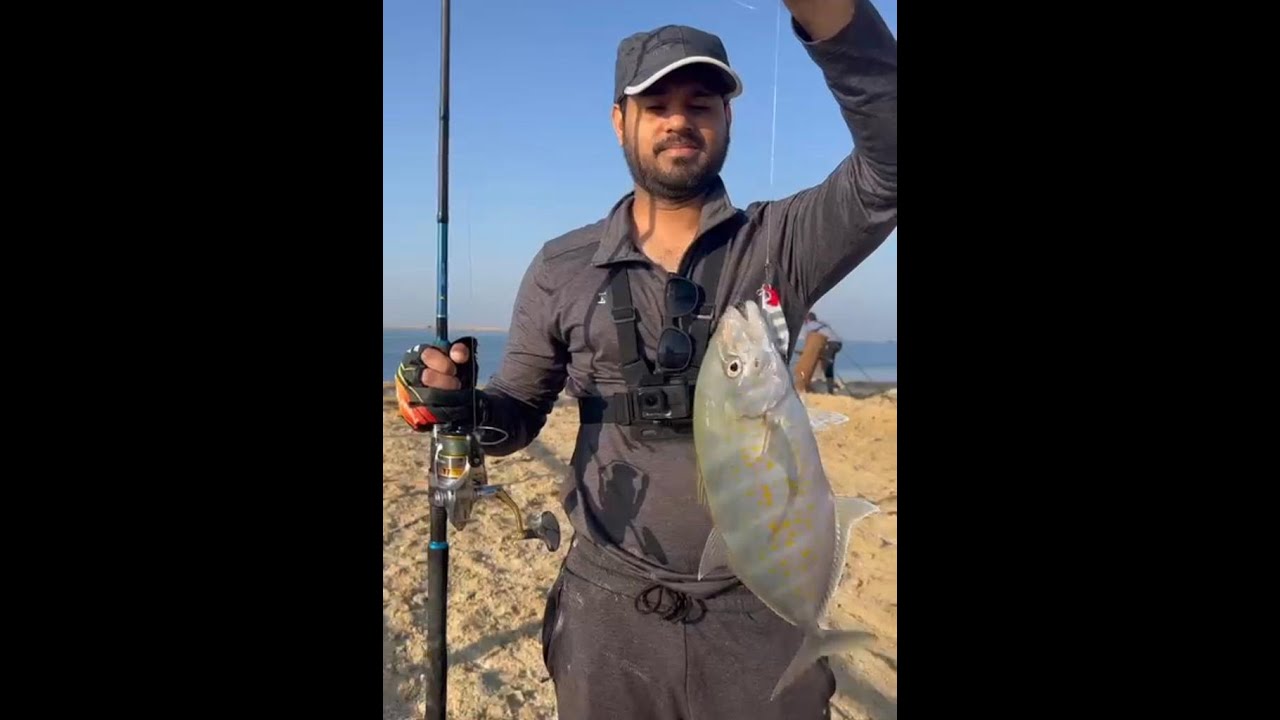 OST Hamour Barracuda Fishing Fishing in Abu Dhabi Abu Dhabi