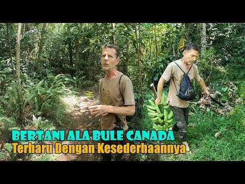 Video: Kediaman Rekreasi dan Mampan di Kanada