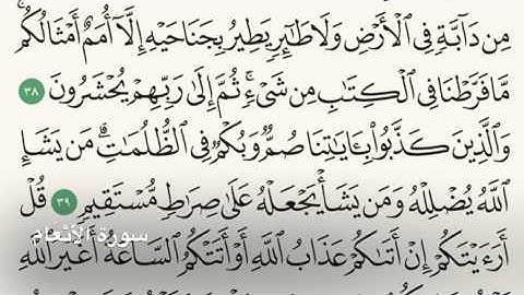 سورة الأَنْعَام - Holy Quran - Surah 6 - Page 132