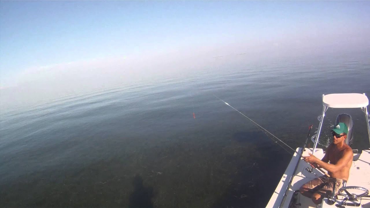 Spanish Mackerel Florida Bay YouTube