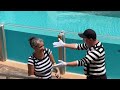 Entertaining vibes with the mime rob  seaworld orlando