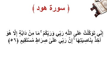 سورة هود الاية 56