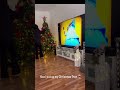 My kinda Christas Carols 😂 #christmas #christmastree #christmastree #viral
