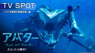 映画『アバター：ウェイ・オブ・ウォーター』スポット「これぞ最高の映画体験」編　大ヒット上映中！