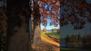 Чудесные осенние краски парка Монрепо в Выборге🩷 #garden #nature #relaxing #travel #autumn