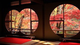 京都の紅葉(2022)紅葉選