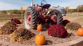 Skinny Bones Pumpkin Patch in Omaha, Nebraska