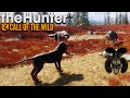 Wilfred Tries to Save My Life! The Hunter Call of The Wild