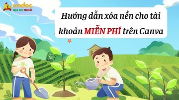 Hướng dẫn xóa nền cho tài khoản MIỄN PHÍ trên Canva - VnDoc.com